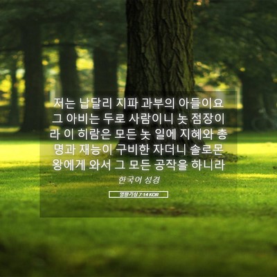 Picture 05 - 열왕기상 7:14 KOR - 저는 납달리 지파 과부의 아들이요 - Bible Verse Picture