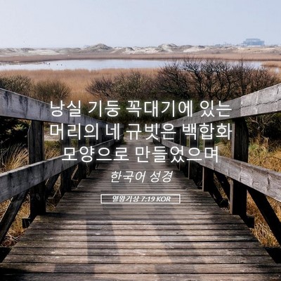 Picture 05 - 열왕기상 7:19 KOR - 낭실 기둥 꼭대기에 있는 머리의 네 - Bible Verse Picture