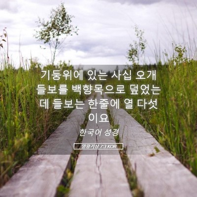 Picture 05 - 열왕기상 7:3 KOR - 기둥위에 있는 사십 오개 들보를 - Bible Verse Picture