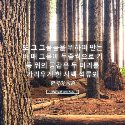 Picture 05 - 열왕기상 7:42 KOR - 또 그 그물들을 위하여 만든 바 매 - Bible Verse Picture
