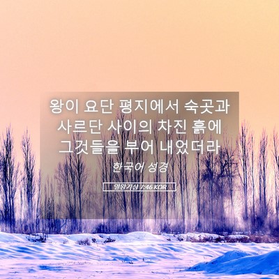 Picture 05 - 열왕기상 7:46 KOR - 왕이 요단 평지에서 숙곳과 사르단 - Bible Verse Picture