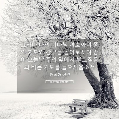 Picture 05 - 열왕기상 8:28 KOR - 그러나 나의 하나님 여호와여 종의 - Bible Verse Picture