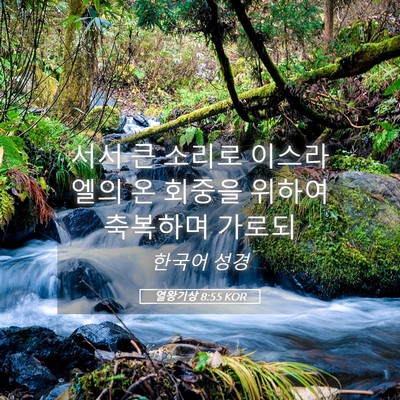 Picture 05 - 열왕기상 8:55 KOR - 서서 큰 소리로 이스라엘의 온 - Bible Verse Picture