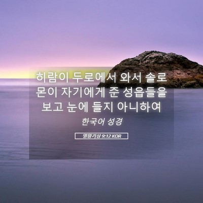Picture 05 - 열왕기상 9:12 KOR - 히람이 두로에서 와서 솔로몬이 - Bible Verse Picture