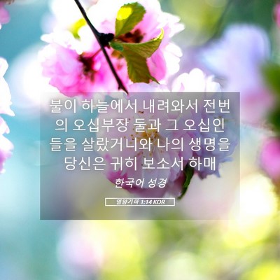 Picture 05 - 열왕기하 1:14 KOR - 불이 하늘에서 내려와서 전번의 - Bible Verse Picture