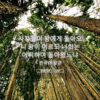 Picture 05 - 열왕기하 1:5 KOR - 사자들이 왕에게 돌아오니 왕이 - Bible Verse Picture
