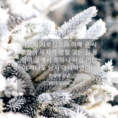 Picture 05 - 열왕기하 10:14 KOR - 가로되 사로잡으라 하매 곧 사로잡아 - Bible Verse Picture