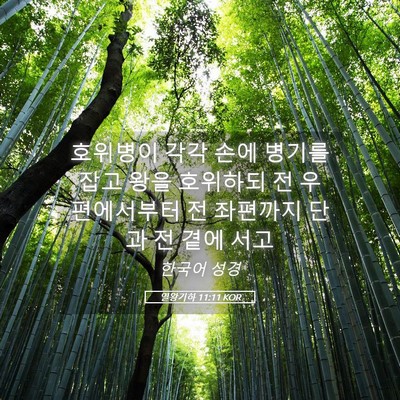 Picture 05 - 열왕기하 11:11 KOR - 호위병이 각각 손에 병기를 잡고 - Bible Verse Picture