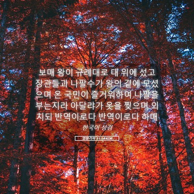 Picture 05 - 열왕기하 11:14 KOR - 보매 왕이 규례대로 대 위에 섰고 - Bible Verse Picture