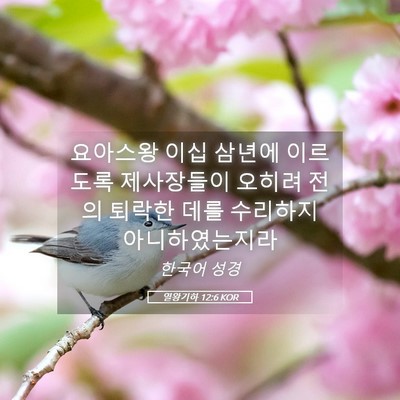Picture 05 - 열왕기하 12:6 KOR - 요아스왕 이십 삼년에 이르도록 - Bible Verse Picture