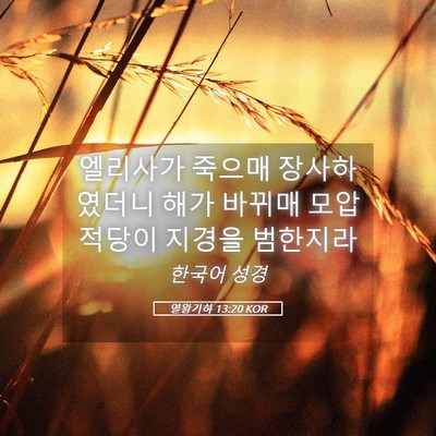 Picture 05 - 열왕기하 13:20 KOR - 엘리사가 죽으매 장사하였더니 해가 - Bible Verse Picture