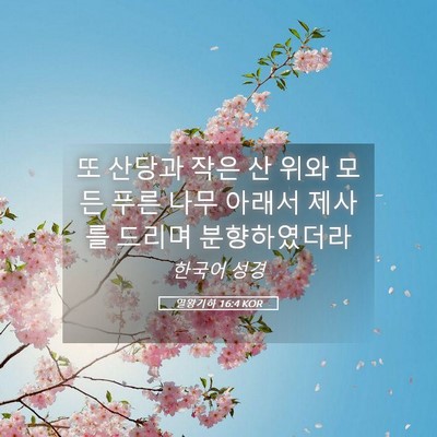 Picture 05 - 열왕기하 16:4 KOR - 또 산당과 작은 산 위와 모든 푸른 - Bible Verse Picture