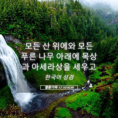 Picture 05 - 열왕기하 17:10 KOR - 모든 산 위에와 모든 푸른 나무 - Bible Verse Picture