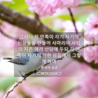 Picture 05 - 열왕기하 17:29 KOR - 그러나 각 민족이 각기 자기의 - Bible Verse Picture