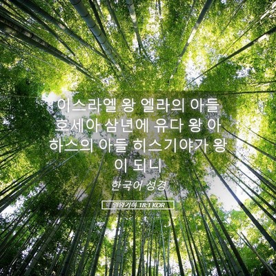 Picture 05 - 열왕기하 18:1 KOR - 이스라엘 왕 엘라의 아들 호세아 - Bible Verse Picture