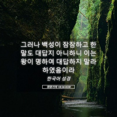 Picture 05 - 열왕기하 18:36 KOR - 그러나 백성이 잠잠하고 한 말도 - Bible Verse Picture
