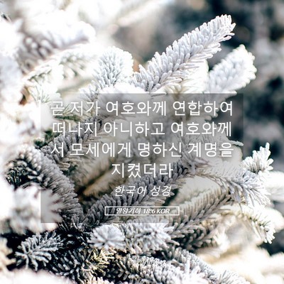 Picture 05 - 열왕기하 18:6 KOR - 곧 저가 여호와께 연합하여 떠나지 - Bible Verse Picture