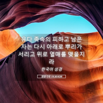 Picture 05 - 열왕기하 19:30 KOR - 유다 족속의 피하고 남은 자는 다시 - Bible Verse Picture