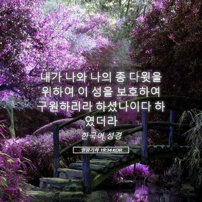 Picture 05 - 열왕기하 19:34 KOR - 내가 나와 나의 종 다윗을 위하여 이 - Bible Verse Picture