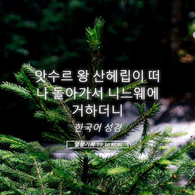 Picture 05 - 열왕기하 19:36 KOR - 앗수르 왕 산헤립이 떠나 돌아가서 - Bible Verse Picture