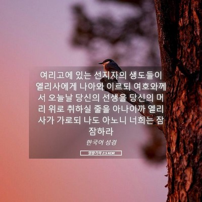Picture 05 - 열왕기하 2:5 KOR - 여리고에 있는 선지자의 생도들이 - Bible Verse Picture