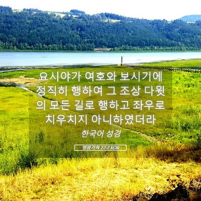 Picture 05 - 열왕기하 22:2 KOR - 요시야가 여호와 보시기에 정직히 - Bible Verse Picture