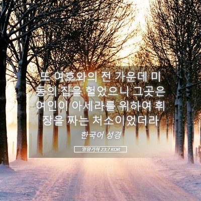 Picture 05 - 열왕기하 23:7 KOR - 또 여호와의 전 가운데 미동의 집을 - Bible Verse Picture