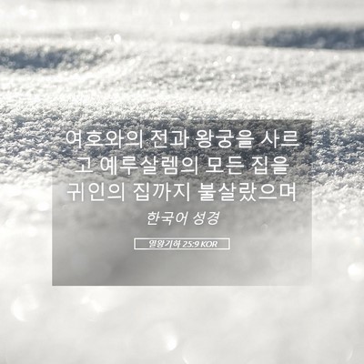 Picture 05 - 열왕기하 25:9 KOR - 여호와의 전과 왕궁을 사르고 - Bible Verse Picture