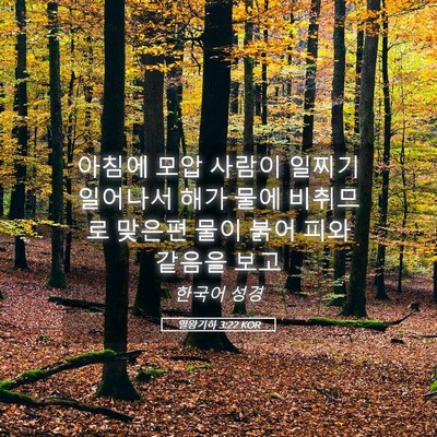 Picture 05 - 열왕기하 3:22 KOR - 아침에 모압 사람이 일찌기 일어나서 - Bible Verse Picture