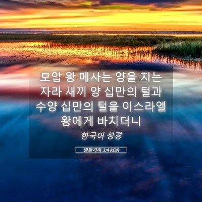 Picture 05 - 열왕기하 3:4 KOR - 모압 왕 메사는 양을 치는 자라 새끼 - Bible Verse Picture