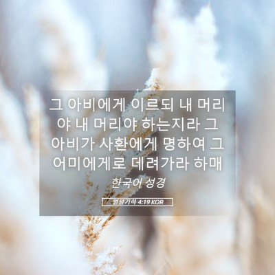 Picture 05 - 열왕기하 4:19 KOR - 그 아비에게 이르되 내 머리야 내 - Bible Verse Picture