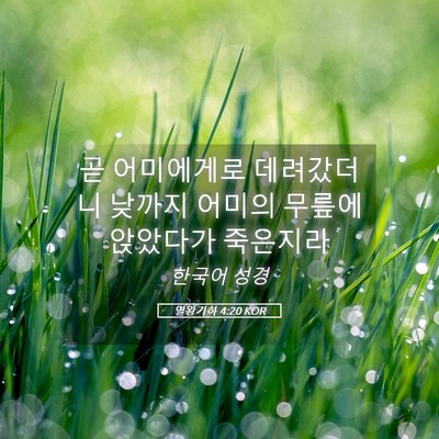 Picture 05 - 열왕기하 4:20 KOR - 곧 어미에게로 데려갔더니 낮까지 - Bible Verse Picture