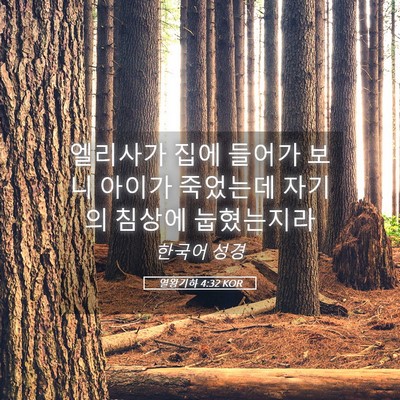 Picture 05 - 열왕기하 4:32 KOR - 엘리사가 집에 들어가 보니 아이가 - Bible Verse Picture