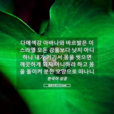 Picture 05 - 열왕기하 5:12 KOR - 다메섹강 아바나와 바르발은 - Bible Verse Picture