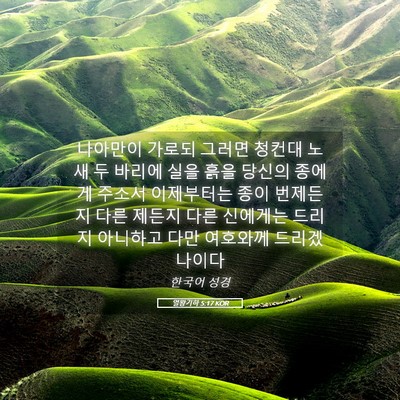 Picture 05 - 열왕기하 5:17 KOR - 나아만이 가로되 그러면 청컨대 노새 - Bible Verse Picture