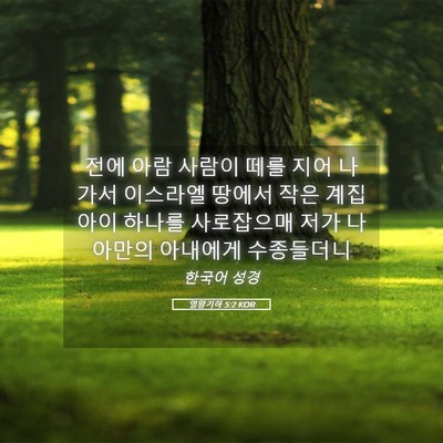 Picture 05 - 열왕기하 5:2 KOR - 전에 아람 사람이 떼를 지어 나가서 - Bible Verse Picture