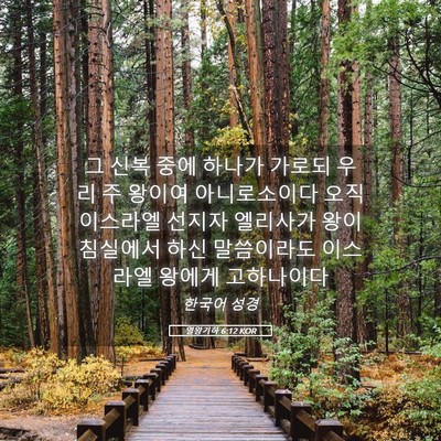 Picture 05 - 열왕기하 6:12 KOR - 그 신복 중에 하나가 가로되 우리 주 - Bible Verse Picture
