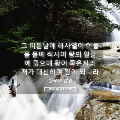 Picture 05 - 열왕기하 8:15 KOR - 그 이튿날에 하사엘이 이불을 물에 - Bible Verse Picture