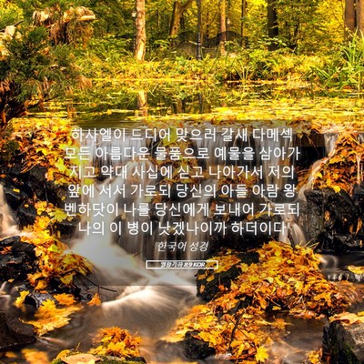 Picture 05 - 열왕기하 8:9 KOR - 하사엘이 드디어 맞으러 갈새 다메섹 - Bible Verse Picture