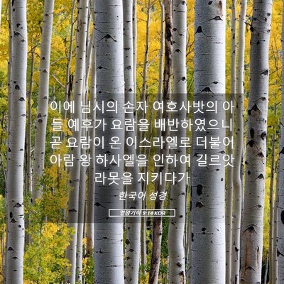 Picture 05 - 열왕기하 9:14 KOR - 이에 님시의 손자 여호사밧의 아들 - Bible Verse Picture