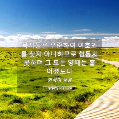 Picture 05 - 예레미야 10:21 KOR - 목자들은 우준하여 여호와를 찾지 - Bible Verse Picture