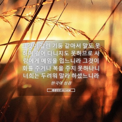 Picture 05 - 예레미야 10:5 KOR - 그것이 갈린 기둥 같아서 말도 - Bible Verse Picture