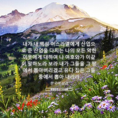 Picture 05 - 예레미야 12:14 KOR - 내가 내 백성 이스라엘에게 산업으로 - Bible Verse Picture