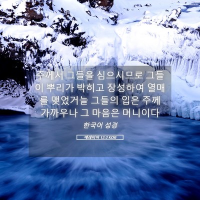 Picture 05 - 예레미야 12:2 KOR - 주께서 그들을 심으시므로 그들이 - Bible Verse Picture