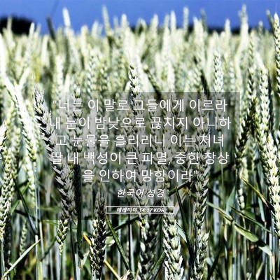 Picture 05 - 예레미야 14:17 KOR - 