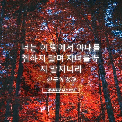 Picture 05 - 예레미야 16:2 KOR - 너는 이 땅에서 아내를 취하지 말며 - Bible Verse Picture