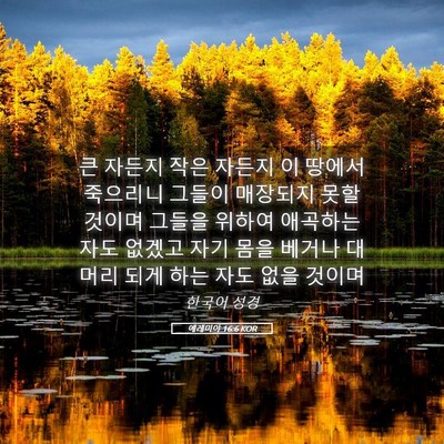 Picture 05 - 예레미야 16:6 KOR - 큰 자든지 작은 자든지 이 땅에서 - Bible Verse Picture