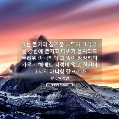 Picture 05 - 예레미야 17:8 KOR - 그는 물가에 심기운 나무가 그 - Bible Verse Picture