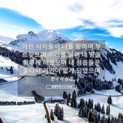 Picture 05 - 예레미야 2:15 KOR - 어린 사자들이 너를 향하여 - Bible Verse Picture