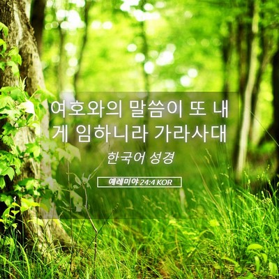 Picture 05 - 예레미야 24:4 KOR - 여호와의 말씀이 또 내게 임하니라 - Bible Verse Picture